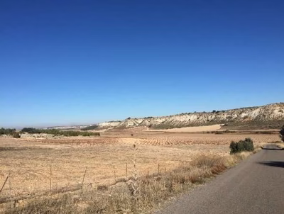 Lote 1 de 11 fincas rusticas en Lillo y 1 en La Guardia (Toledo)