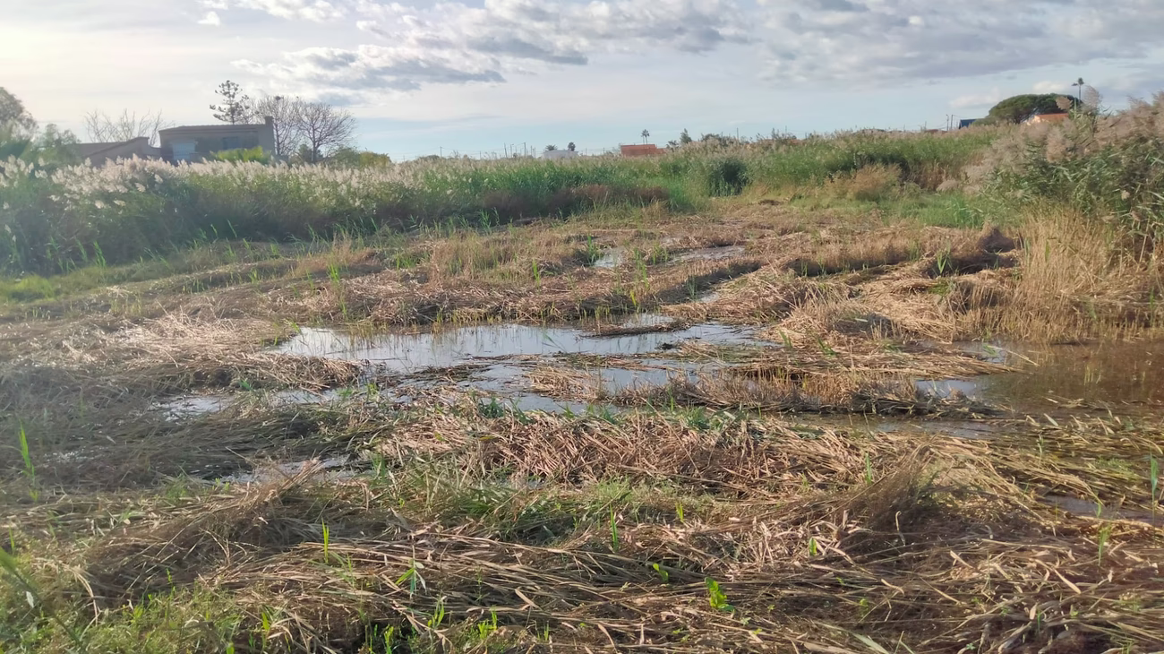 Rustica, partida Molinera en Castellon de la Plana