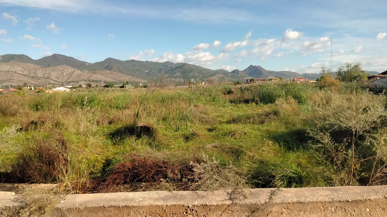 Rustica, partida Molinera en Castellon de la Plana
