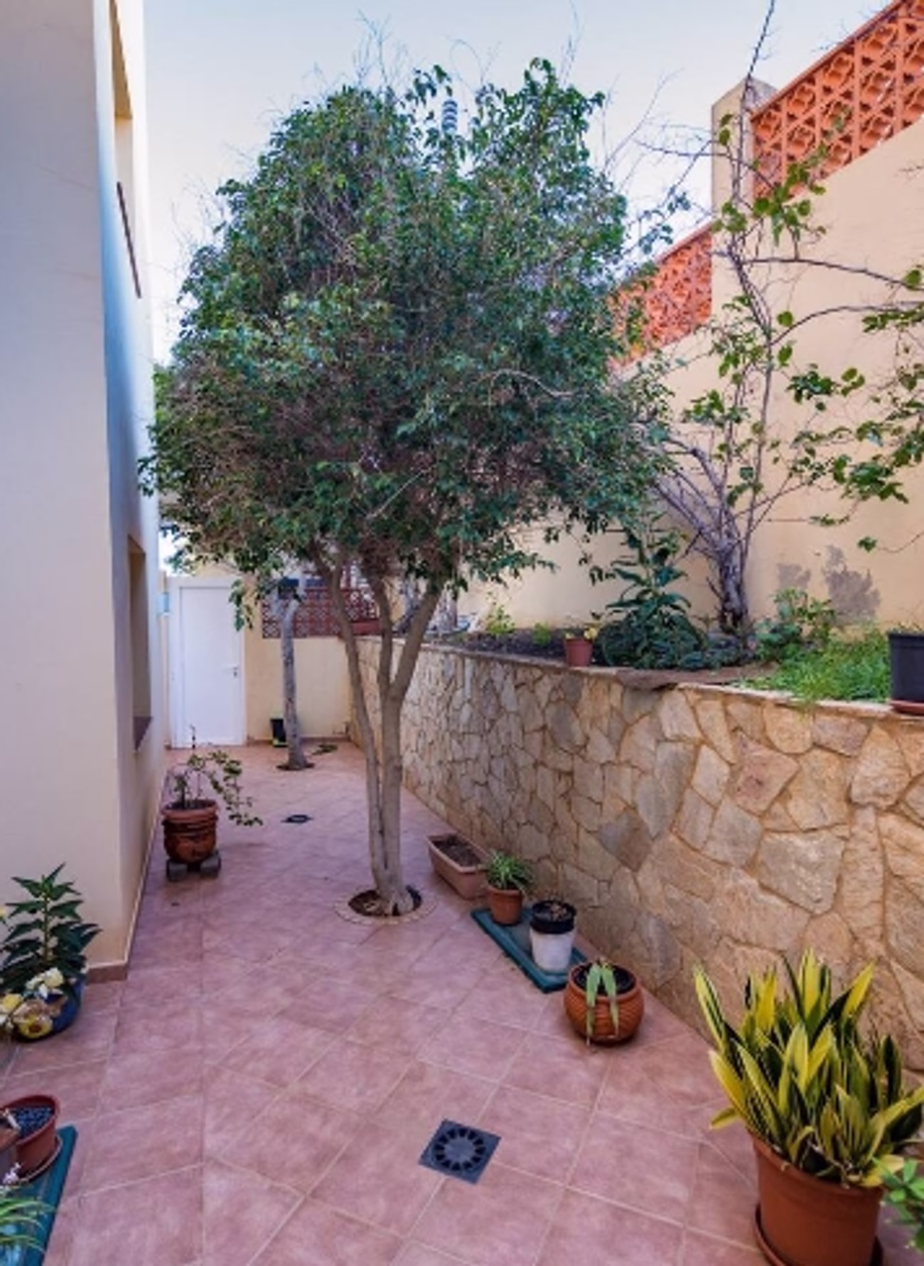 Vivienda en Urb.Solana Matorral nº 420 B en Jandia-Pájara (Fuerteventura, Las Palmas)