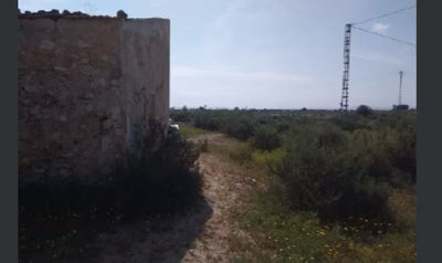 Rustica con vivienda en Partida Matola de Elche