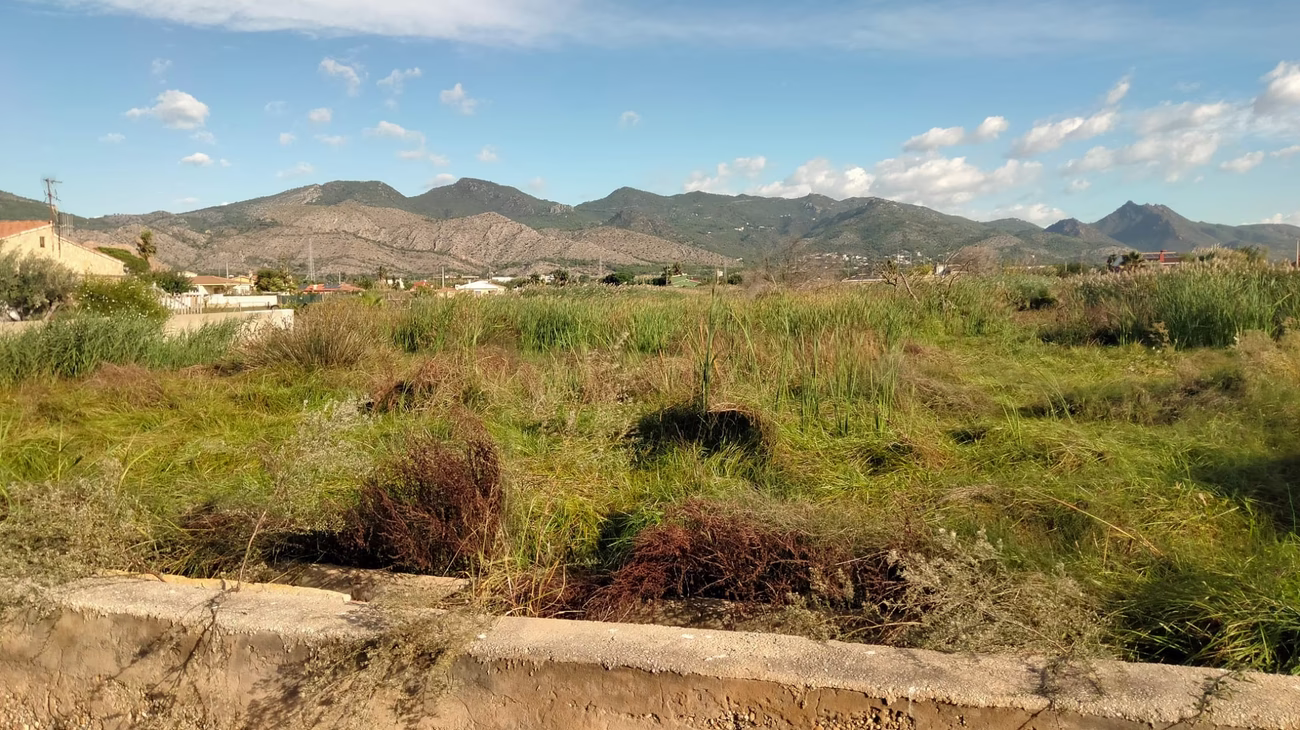 Rustica, partida Molinera en Castellon de la Plana